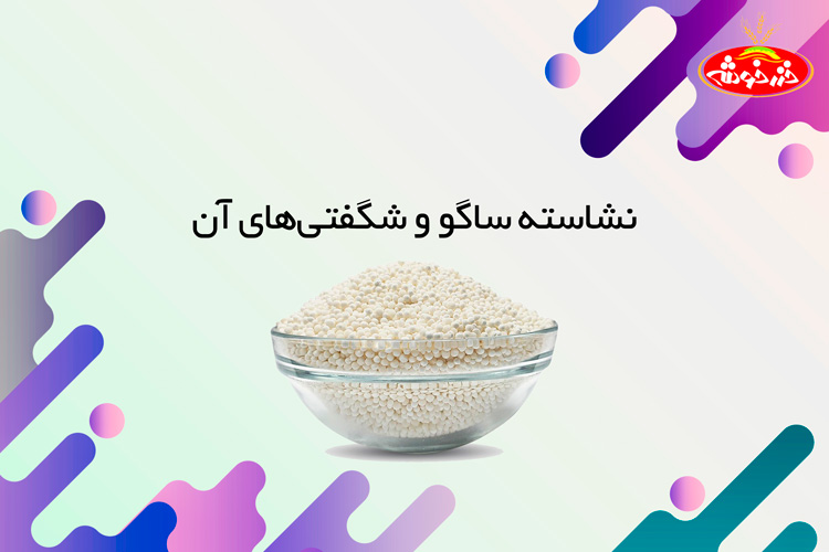 نشاسته ساگو